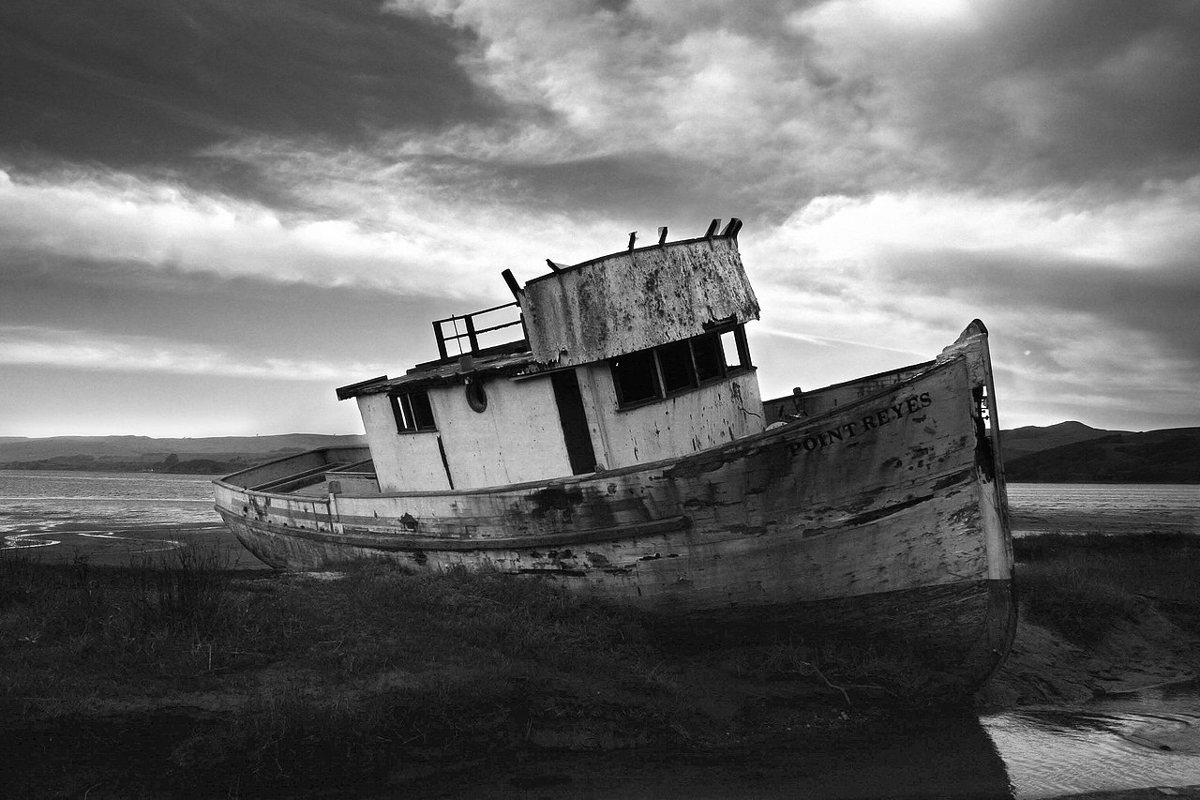 the old fishing boat beached on the shore of Tomales Bay