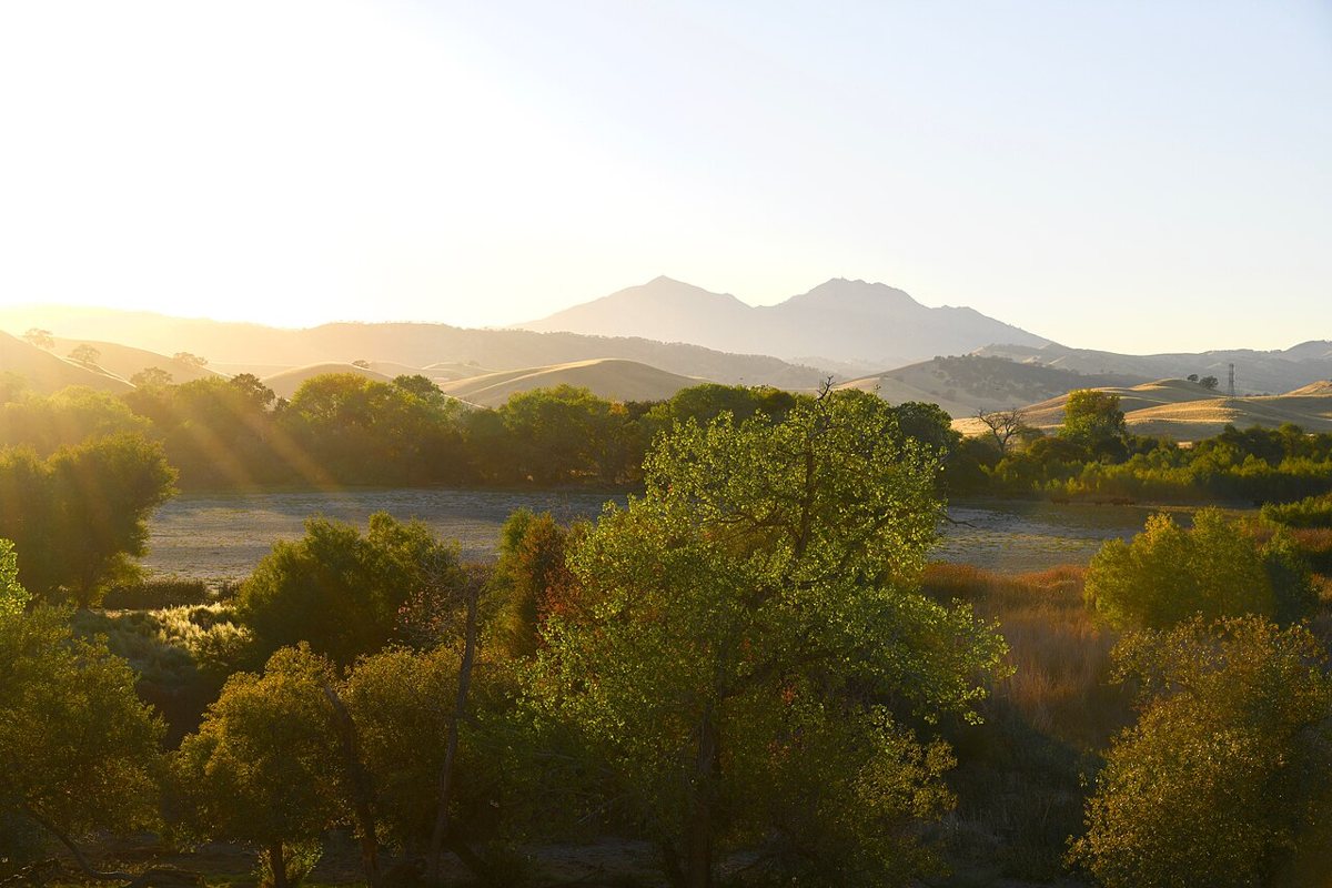 The summit ridge of Mount Diablo State Park with sweeping views across the East Bay hills