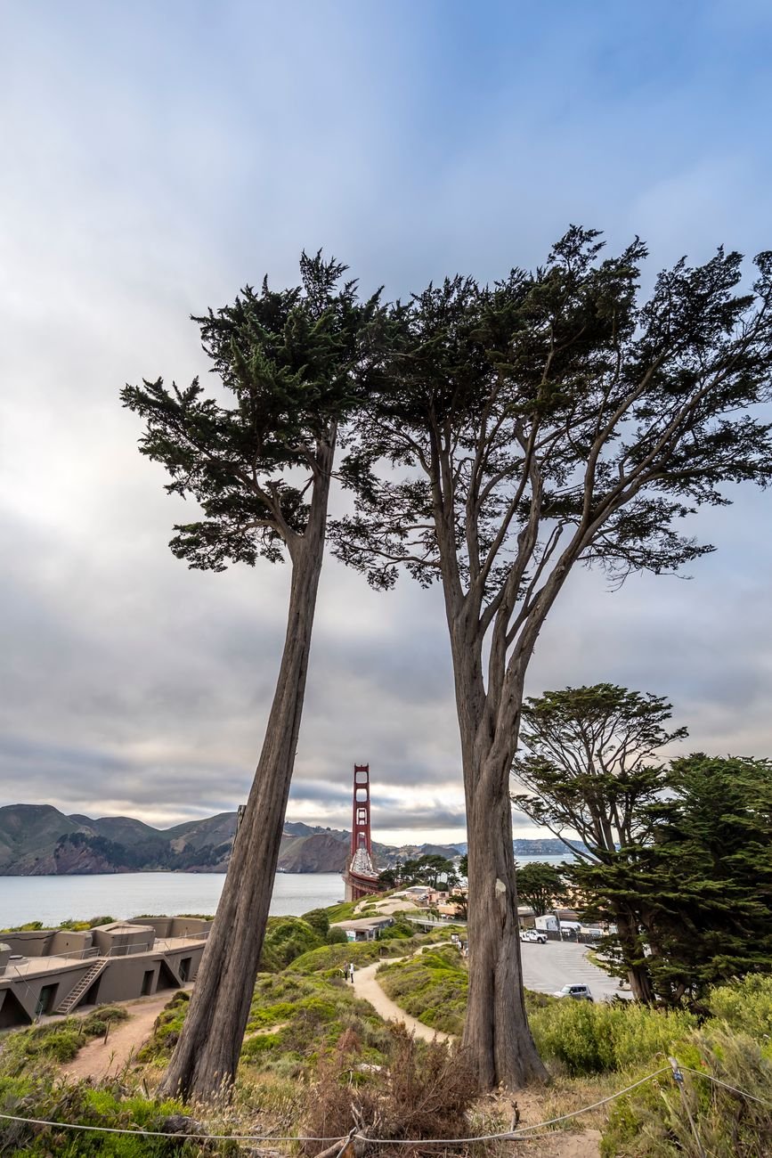 best museums in san francisco