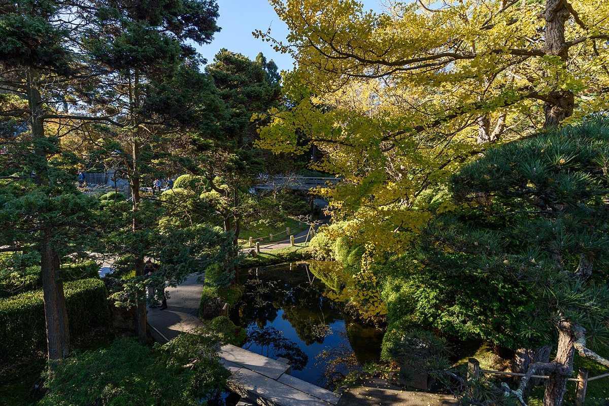 A path through the Japanese Tea Garden in Golden Gate Park