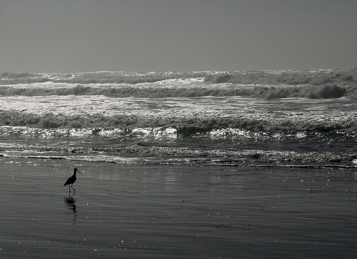 Ocean Beach San Francisco with fog over the water