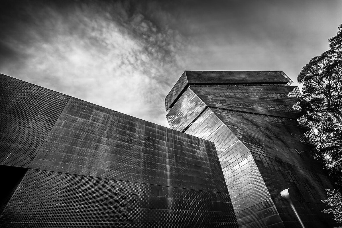 copper-clad de Young Museum building surrounded by Golden Gate Park trees